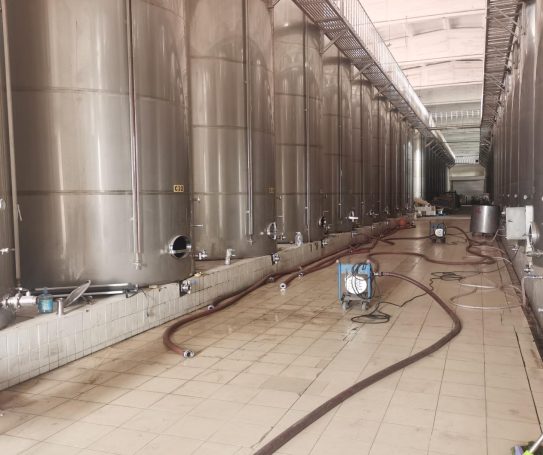 Turning juice into wine 100% nanguo li juice