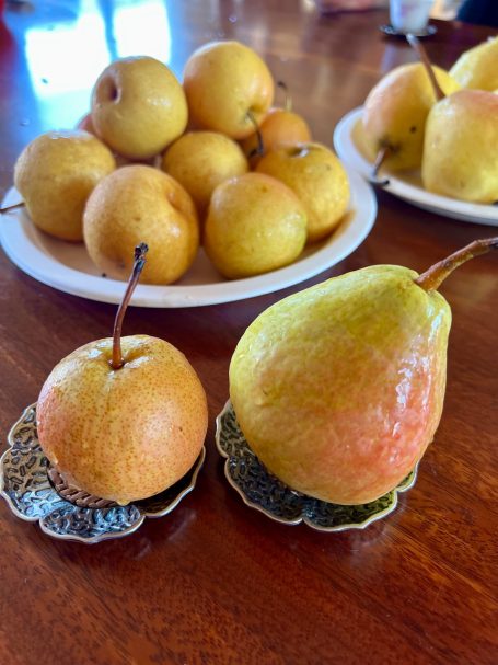 nanguo li pears mature nanguo li pears