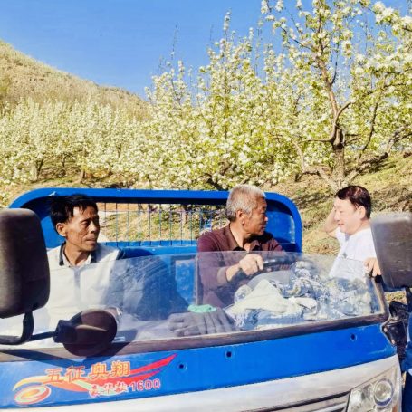 Inspecting the spring blossom Cong's pear base orchards
